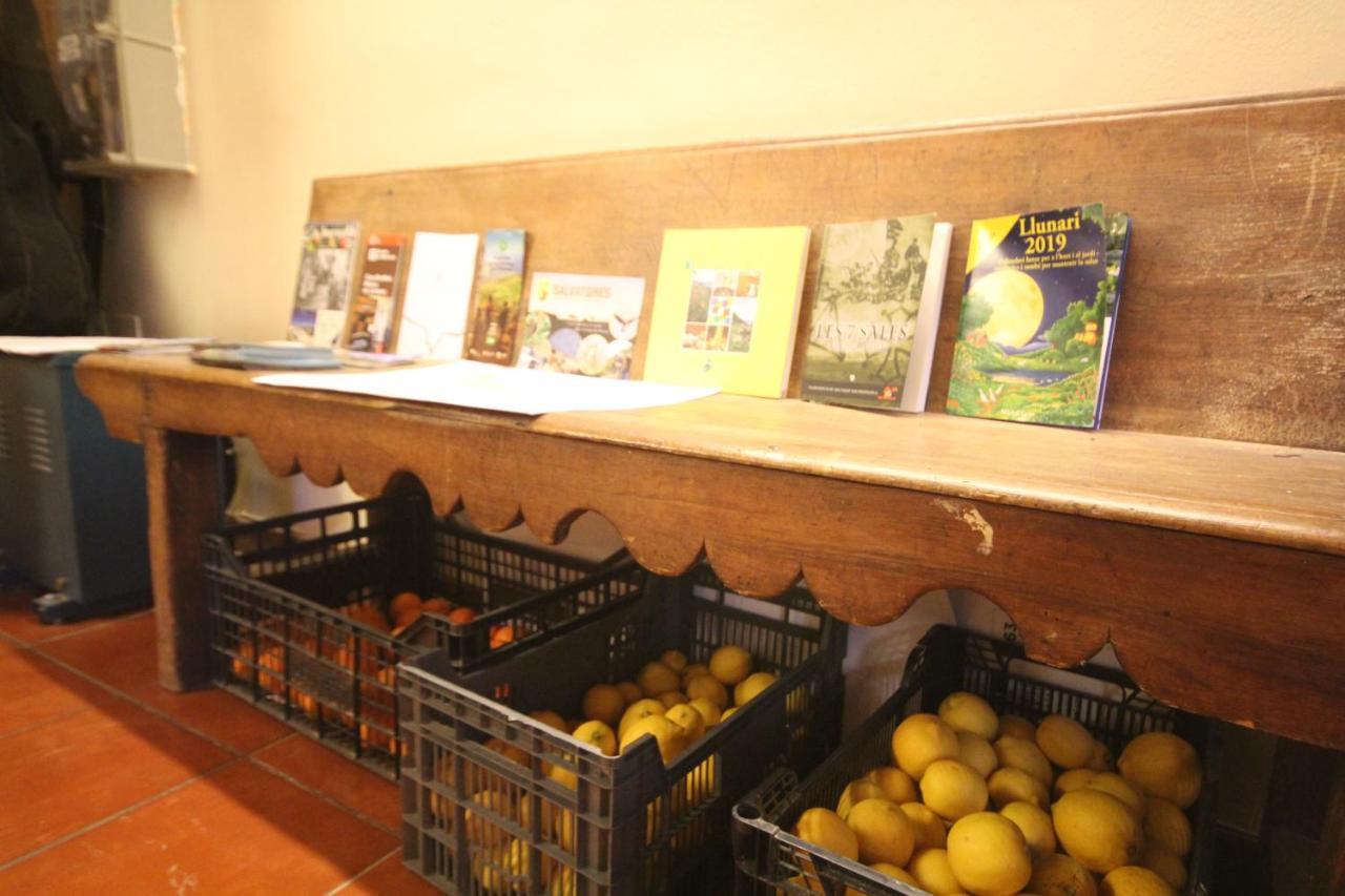 Hostal Centre Del Montsec Llimiana Екстериор снимка
